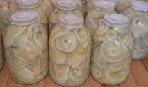 посол