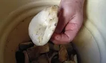 зиму