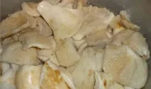 холодний