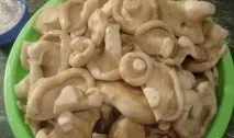 холодний