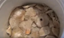 посол