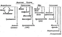 химичен химичен