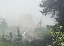 Воробйову показали, як гасять природні пожежі гасять