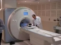 време мозъка