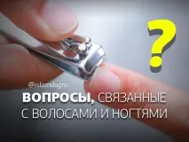 свързани въпроси