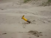 живите пясъци какво
