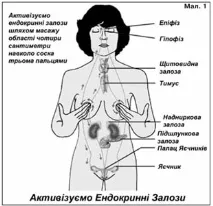 девет пъти начин живот