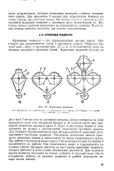 Запасування - вантажний канат - Велика Енциклопедія Нафти та Газа енциклопедія