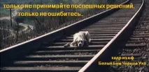 закон