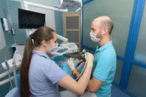 бележки като цяло