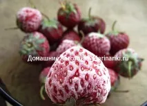 Заморожування лісової полуниці на зиму полуницю