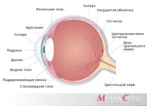 диагностика заболявания