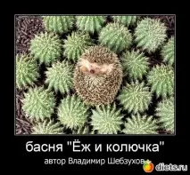 Смішні віршики, Щоденники - на щоденники