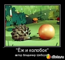 Смішні віршики, Щоденники - на віршики