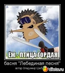 Смішні віршики, Щоденники - на віршики