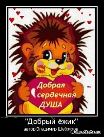 Смішні віршики, Щоденники - на віршики