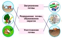 Земля-годувальниця, okrmir1234 ґрунту