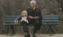 куче учените