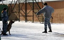 Тюменська поліція повісила собак на кінолога собак