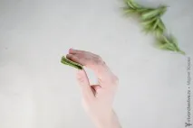 зеленина всеки лист