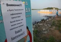 появиха отново