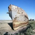 Амударья - пошук слів за маскою та визначенням, відповіді на сканворди маскою