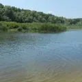 Амударья - пошук слів за маскою та визначенням, відповіді на сканворди слів