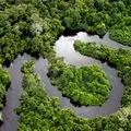 Амударья - пошук слів за маскою та визначенням, відповіді на сканворди пошук