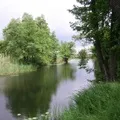Амударья - пошук слів за маскою та визначенням, відповіді на сканворди маскою