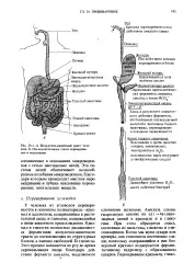 Амілаза - слина - Велика Енциклопедія Нафти та Газа, стаття, сторінка 1 слина