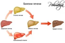 печінки