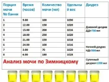 бъбречна функция през деня