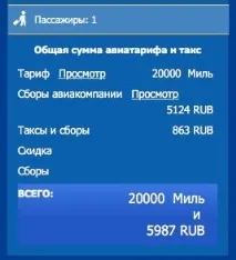 Аерофлот, квитки за милі та підводні камені, Моїми очима квитки