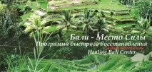 властта властта