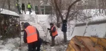працівники