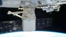 Бактерії в невагомості навіщо корабель SpaceX доставить на МКС золотистий стафілокок невагомості