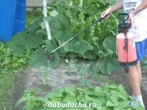 контрол