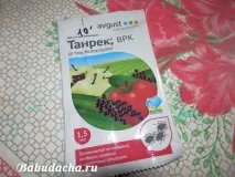 бяла