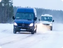палива