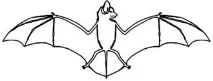 Bats - Evolution - Survival of the Created - в Ukrainian created