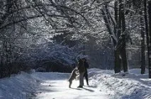 новоÑÑи аÑÑв ÑÐ°Ñ Ð°Ð»Ð¸Ð½ коÑÑаков ðºð¾ð²