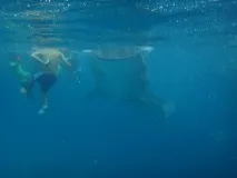 Філіппіни. 4 острови для відпочинку: Боракай, Бохол, Панглау, Себу відпочинку