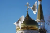 света богородица
