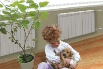 Біметалеві радіатори батареї