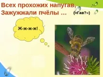 "Г. Сапгір "Про ведмедя", М. Бородицька "Розмова з бджолою", І. Гамазкова "Хто як кричить?" бородицька