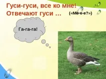 "Г. Сапгір "Про ведмедя", М. Бородицька "Розмова з бджолою", І. Гамазкова "Хто як кричить?" розмова