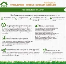 лука болести