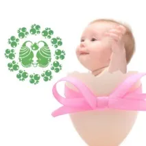 близнаци характеристики