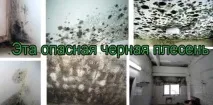Чорна пліснява та грибок у ванній кімнаті. грибок