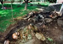 Чечня, грудень 1994 року, жорсткіфото! 1994